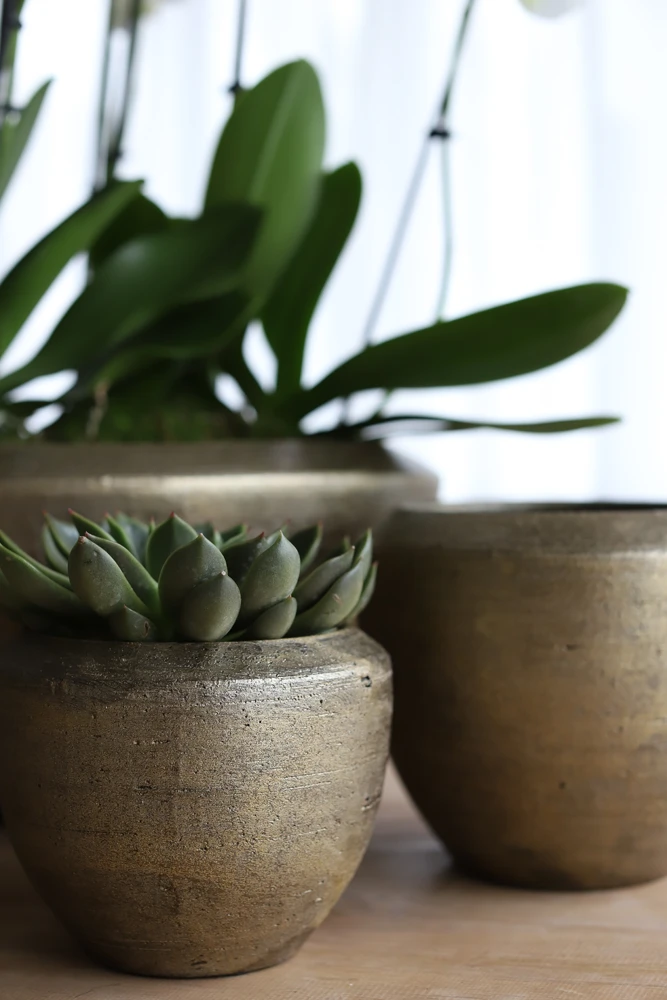 Bloempot Kos - D20 X H18cm - Goud - Afbeelding 2