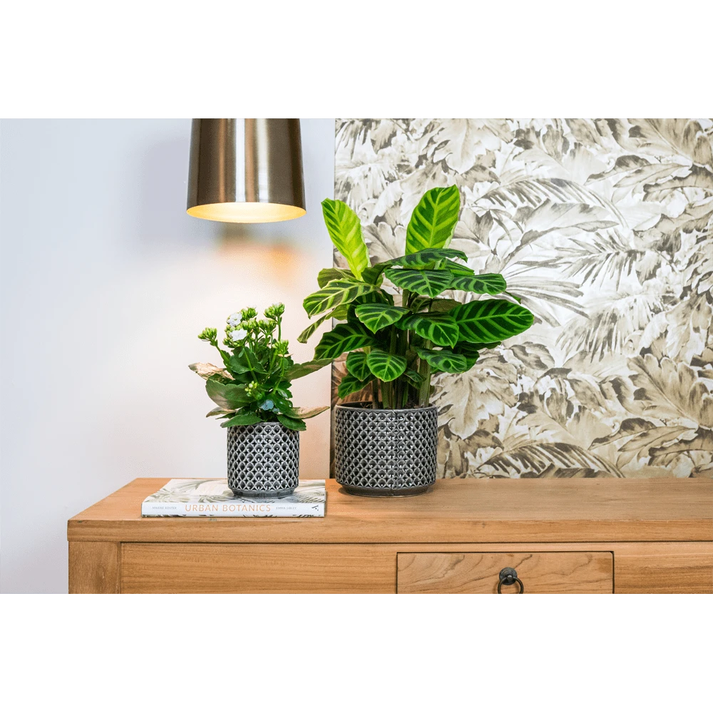 Bloempot Thies - D19 X H17cm - Antraciet - Afbeelding 2