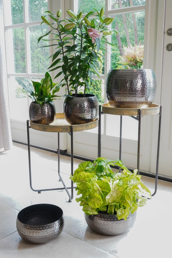 Plantenschaal Kody - D28 X H13cm - Lood - Afbeelding 2