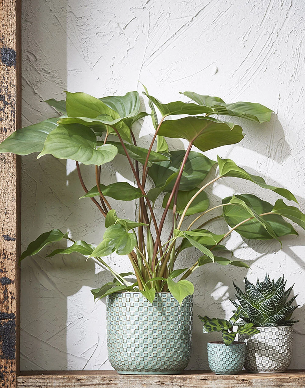 Bloempot Daan - D21.5 X H20.5cm - Groen - Afbeelding 2