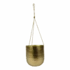 Hangpot Kody - D17 X H20cm - Goud