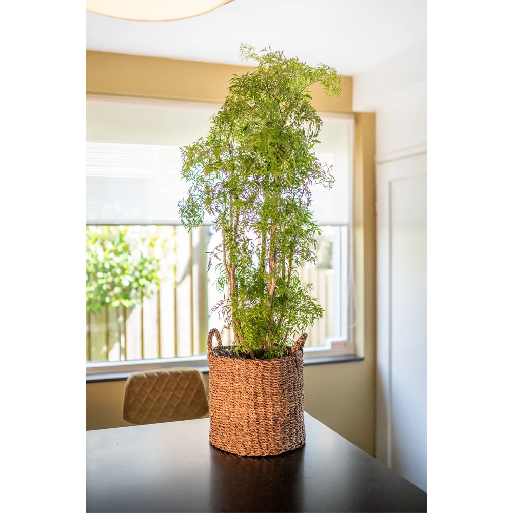 Plantenmand Joris - D33 X H31cm - Camel - Afbeelding 2