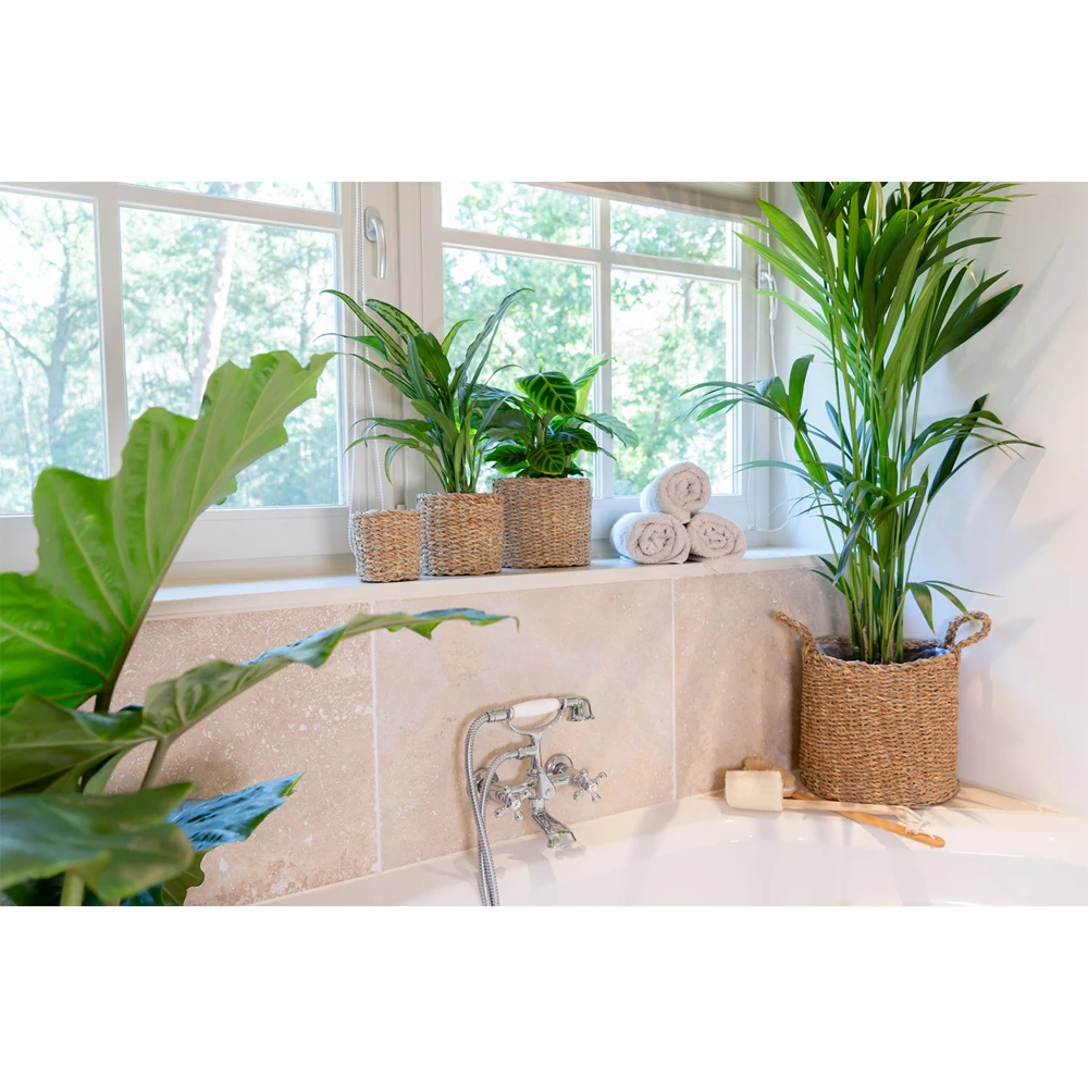 Plantenmand Joris - D30 X H27cm - Naturel - Afbeelding 3