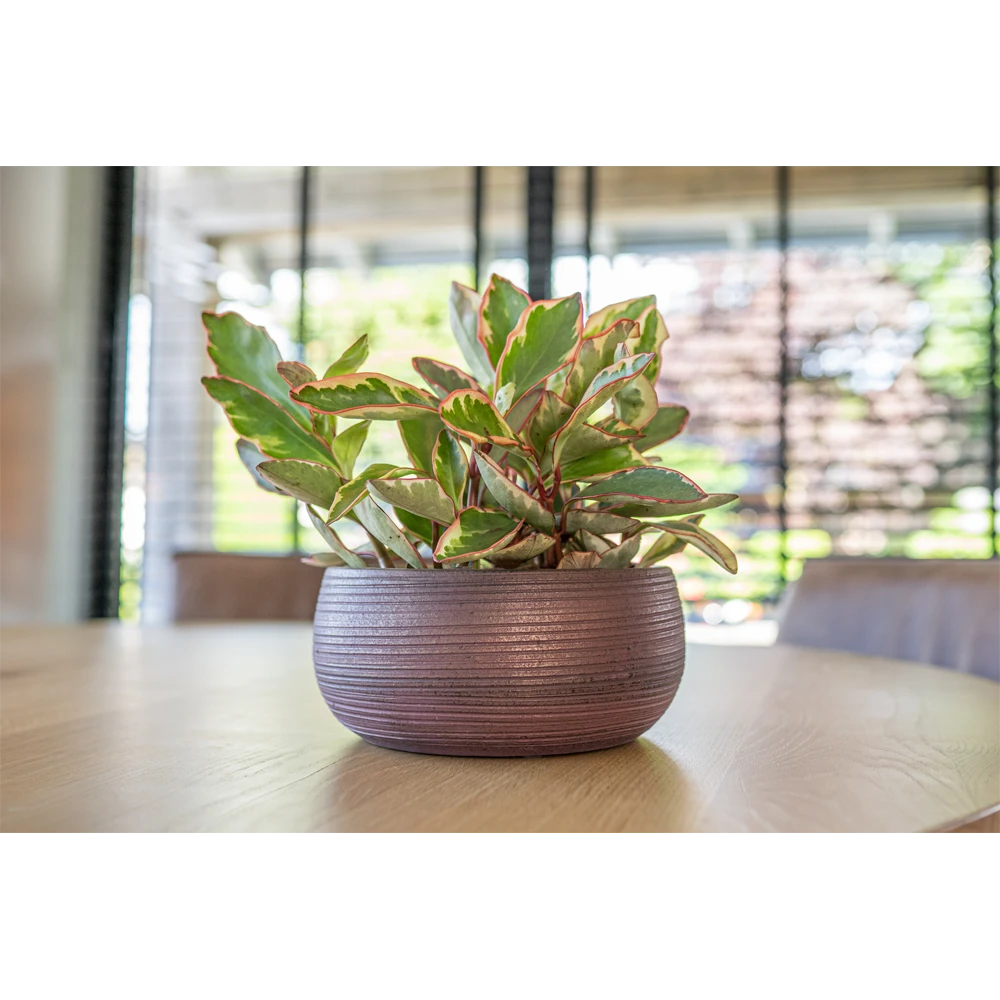 Plantenschaal Lydia - D28 X H13cm - Shiny Purple - Afbeelding 2