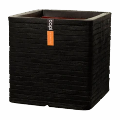 Capi Plantenbak Vierkant Nature Row NL - L30 X B30 X H30cm - Zwart