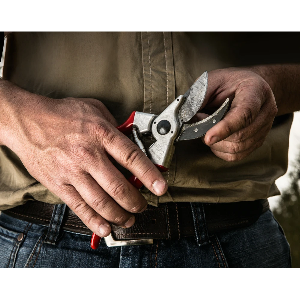 Professionele Felco 2 Snoeischaar Max 25 Mm - Felco - Afbeelding 2