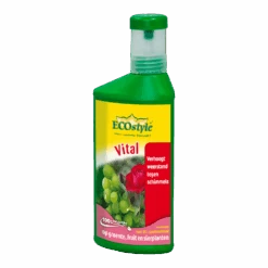 EcoStyle Vital Concentraat 250ml - Schimmels